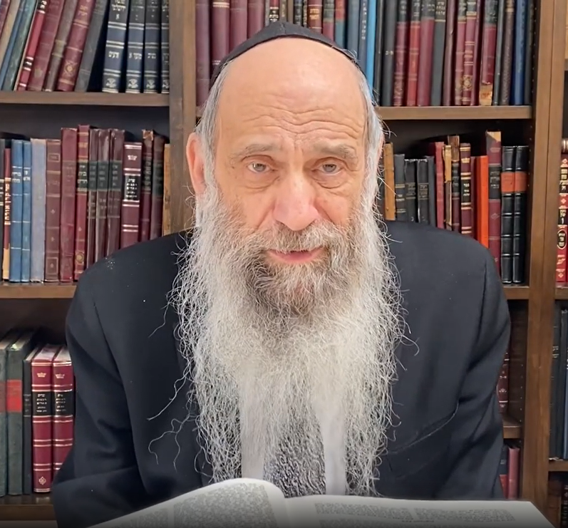 Parshas Vayikra תשפא - Rabbi Chaim Mintz Shiurim